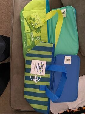 Trader Joe's Insulated Cooler lunch Bags - Blue & Green Stripe & green new nwt